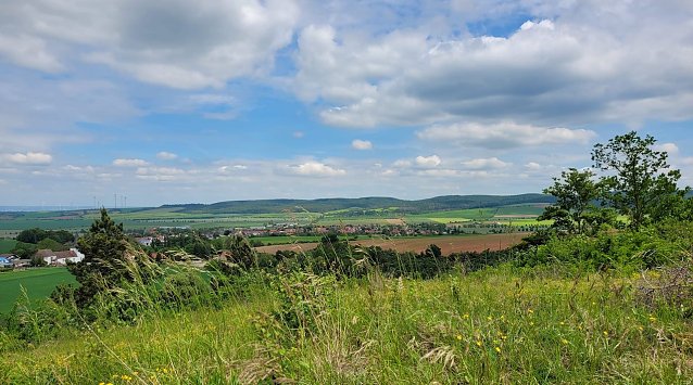 Bild: Wundersch&ouml;n: Oberheldrungen/Harras