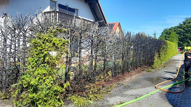 Bild: Feuerwehreinsatz an einer Hecke