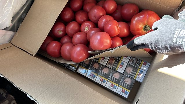 Bild: Schmuggelware unter den Tomaten