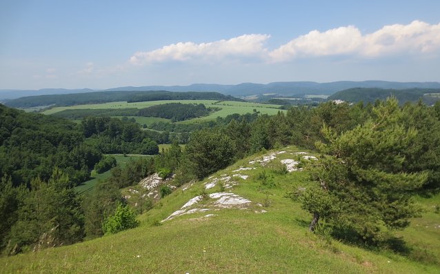 Bild: Die Sattelk&ouml;pfe bei H&ouml;rningen