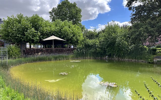 Bild: Im Rosengarten Bad Langensalza
