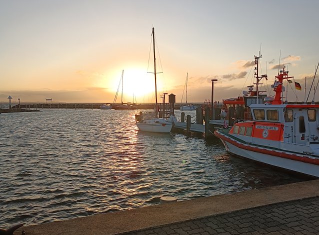 Bild: Abendlicht auf der Insel Poel