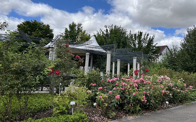 Bild: Im Rosengarten Bad Langensalza