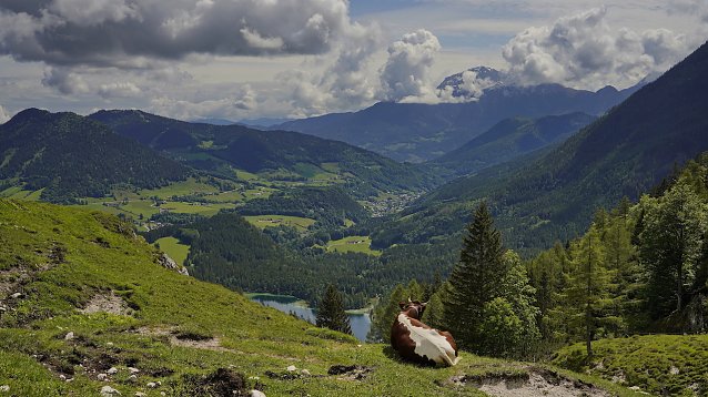 Bild: Idyllische Bergwelt im Berchtesgadener Land (4)