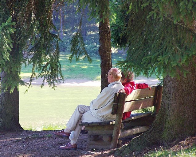 Bild: Der schattige Wald bietet zu den aktuell anstehenden hei&szlig;en Sonnentagen Linderung. Doch Vorsicht: Die Hautkrebs verursachende UV-Strahlung durchdringt ma&szlig;geblich die Baumkronen