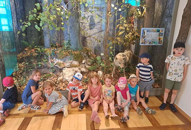 Bild: Kindervillakinder besuchen Fledermausausstellung im Regionalmuseum 