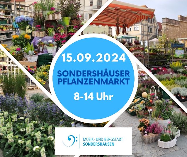 Bild: Sondersh&auml;user Blumen-Pflanzen- und Staudenmarkt
