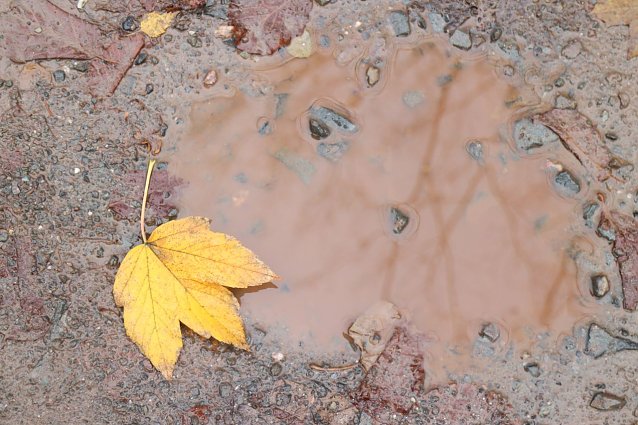 Bild: Wetterbild