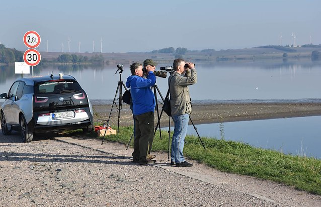 Bild: Vogelbeobachtung in Henschleben