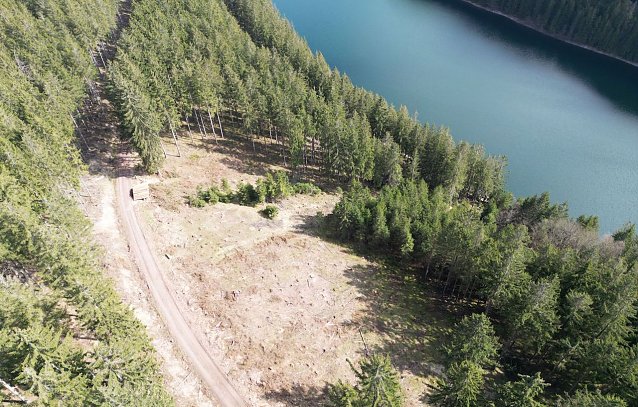 Bild: Randb&auml;ume an ber&auml;umten Borkenk&auml;ferbefallsfl&auml;chen sollten regelm&auml;&szlig;ig kontrolliert werden � auch im Winter