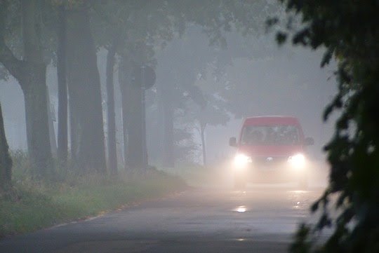 Bild: Der Herbst birgt Gefahren im Stra&szlig;enverkehr