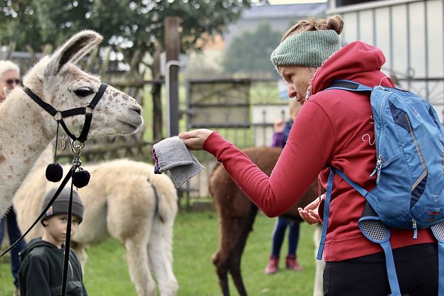 Bild: Eine gro&szlig;e Vertrautheit herrscht zwischen Alina Kroll und ihren Tieren auf dem Lamahof "Unstrut Lamas" in Herbsleben