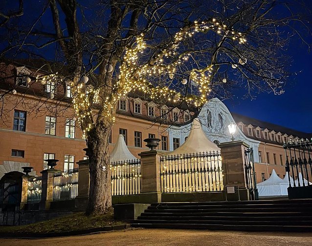 Bild: Wei&szlig;e Schlossweihnacht in Sondershausen