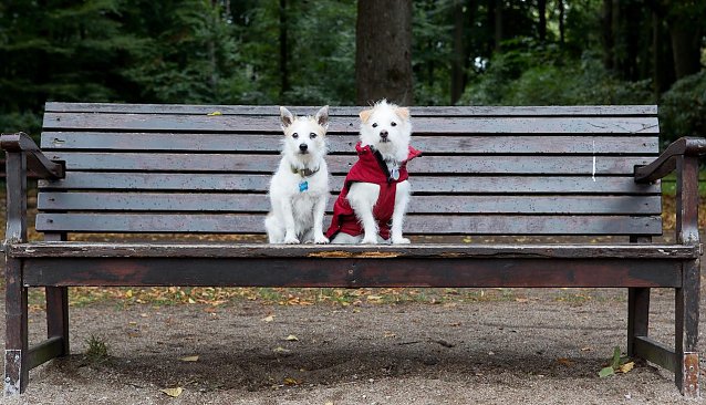 Bild: Der Herbst � und damit die kalte und dunkle Jahreszeit � ist da