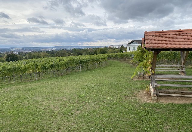Bild: Weingut in Gro&szlig;obringen