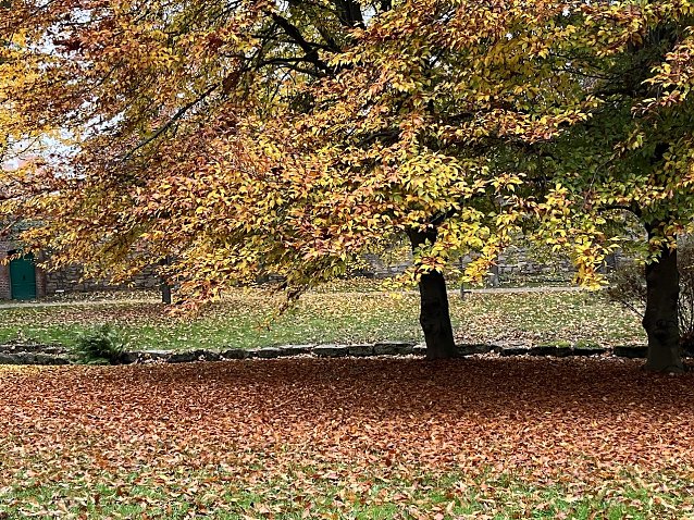 Bild: Weiter ruhiges Herbstwetter mit gem&auml;chlichem Bl&auml;tterfalll 