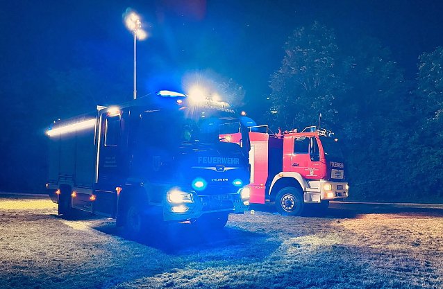 Bild: N&auml;chtliche Suche im Schlosspark