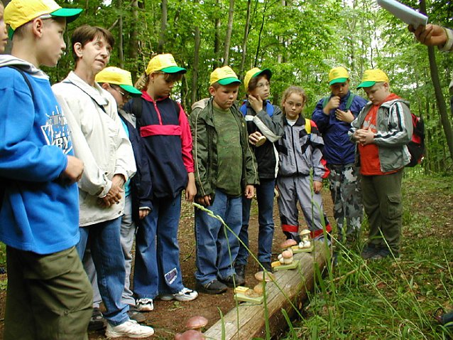 Bild: Waldjugendspiele