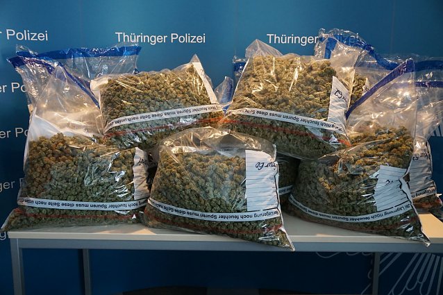 Bild: Riesige durchsichtige T&uuml;ten gef&uuml;llt mit Marihuana-Bl&uuml;ten. 