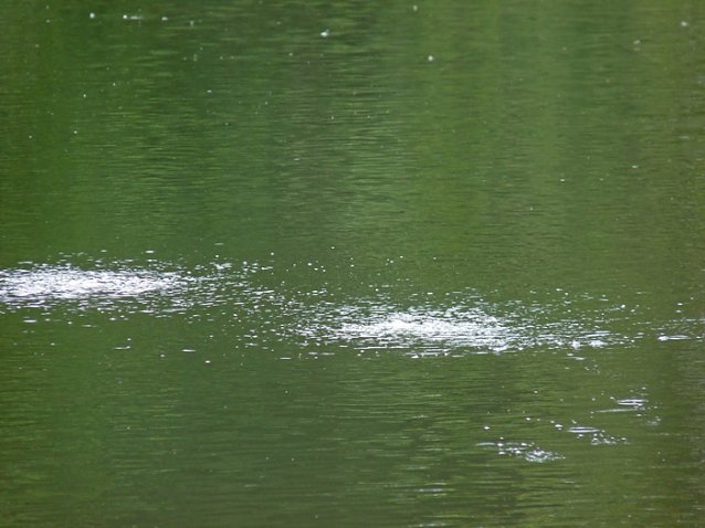 Bild: Bel&uuml;ftung Parksee