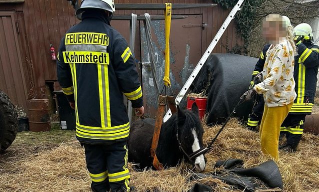 Bild: 
