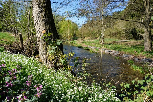 Bild: 