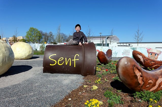 Bild: 