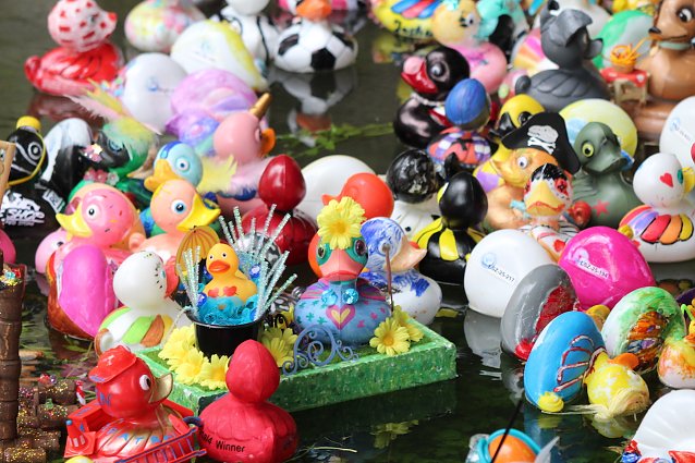 Bild: Bunt bemalte Plastikenten