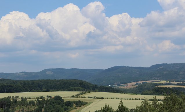 Bild: 