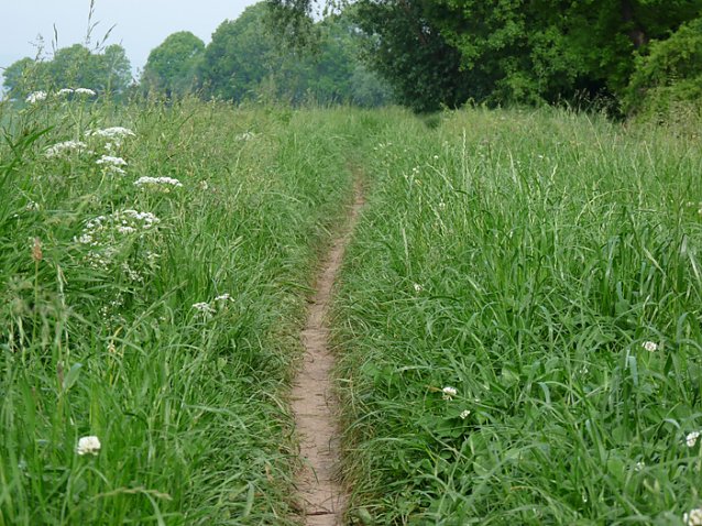 Bild: Radweg