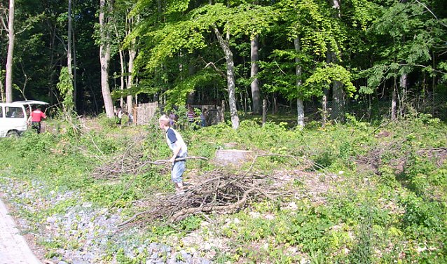 Bild: Holzsammeln f&uuml;r Lagerfeuer