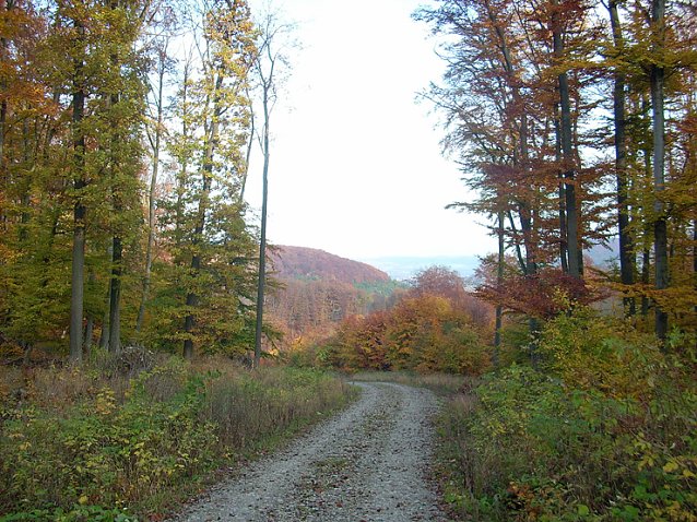 Bild: Frauenberg-Rundeweg Sondershausen
