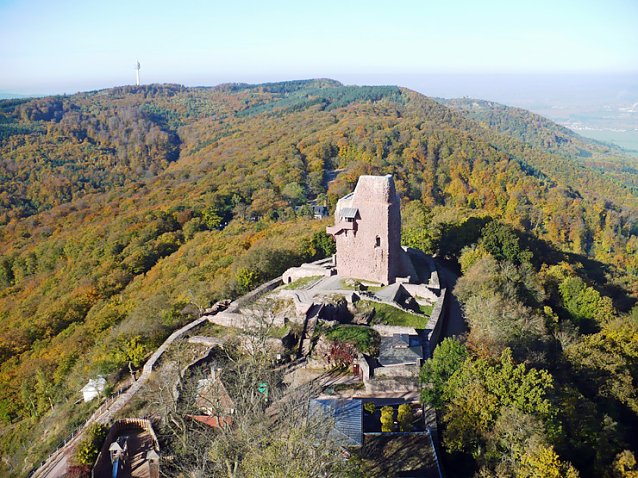 Bild: Farbiger Kyffh&auml;user