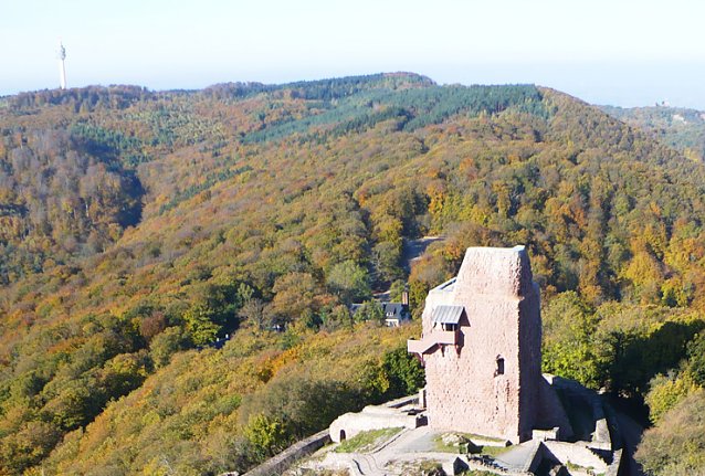 Bild: Farbiger Kyffh&auml;user