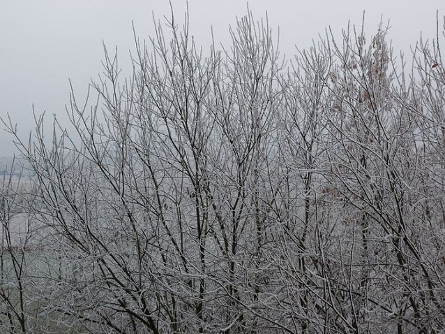 Bild: Start in den Advent