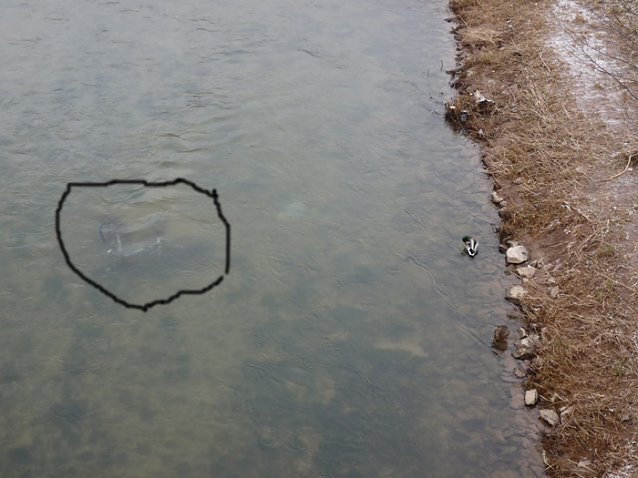 Bild: Fahrrad in der Wipper