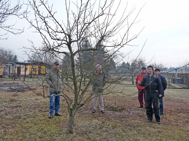 Bild: Baumschnittseminar