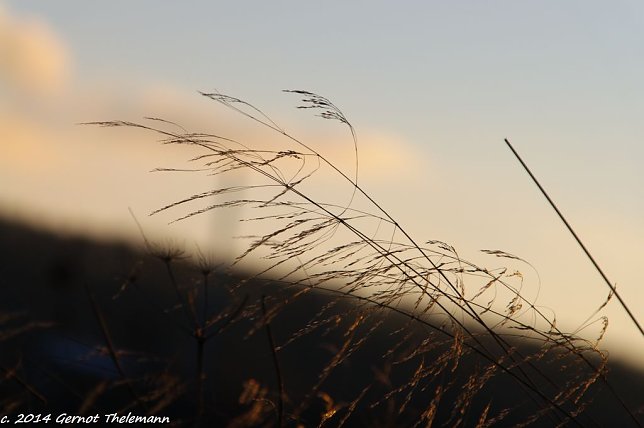 Bild: Wetter-Bild