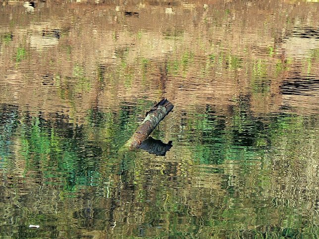 Bild: Wetter-Bild