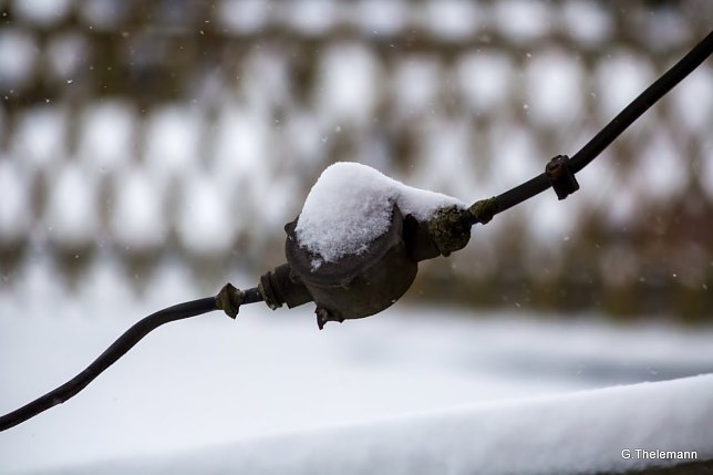 Bild: Wetter-Bild