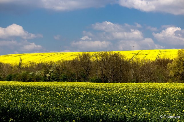 Bild: Wetter-Bild
