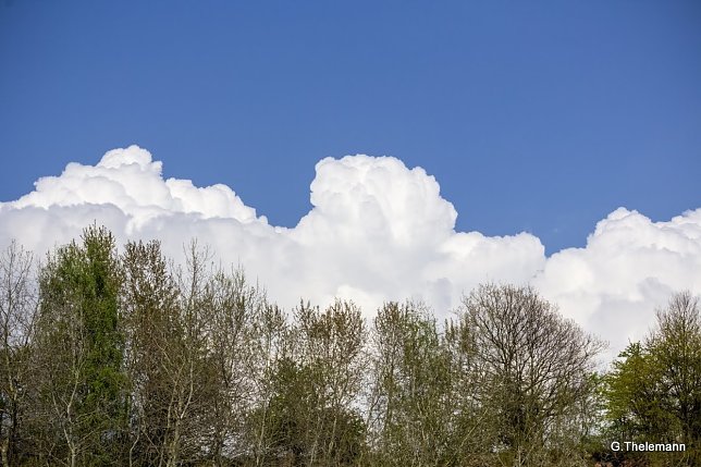 Bild: Wetter-Bild
