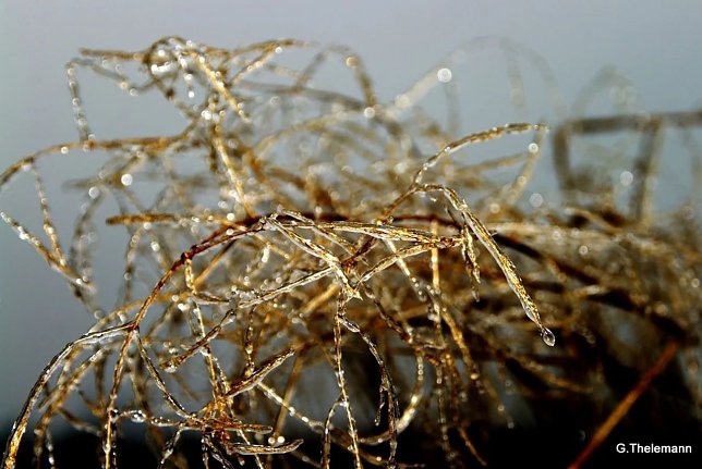 Bild: Wetter-Bild