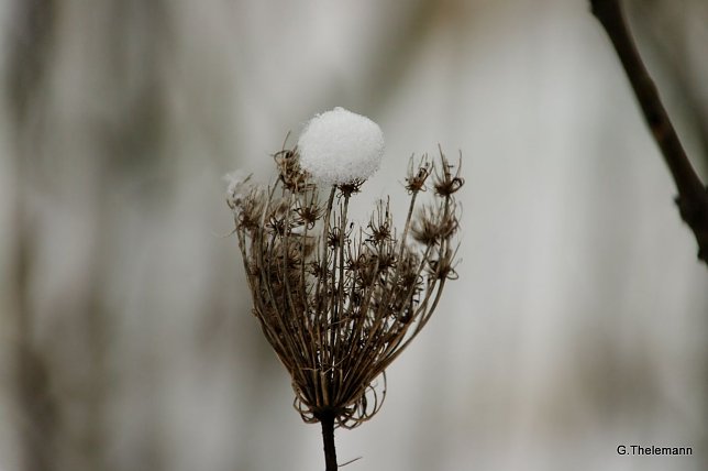 Bild: Wetter-Bild