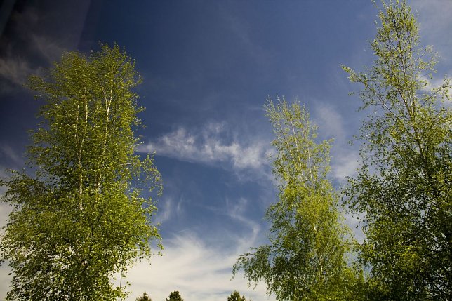 Bild: Wetter-Bild