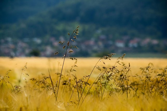 Bild: Wetterbild