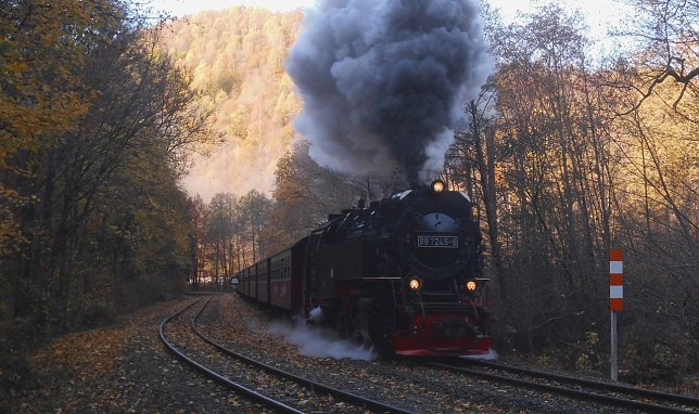 Bild: Herbst im S&uuml;dharz