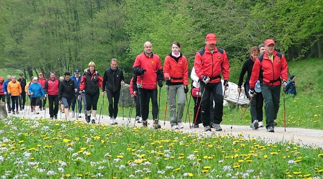 Bild: Nordic-Walking im Harz