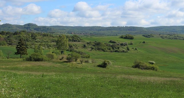 Bild: Blick von den Pfaffenk&ouml;pfen
