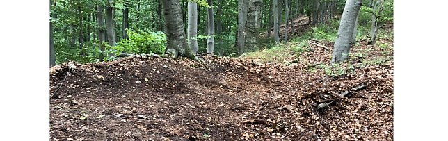 Bild: Neue Mountainbike-Strecke entsteht im Possenwald